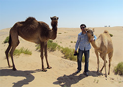 Abu Dhabi im Sommer: 100% Sonnenscheinwahrscheinlichkeit f�r die n�chsten 100 Tage in Abu Dhabi