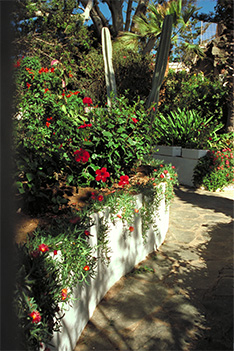 Kanaren-Urlaub Hotel am Vulkan