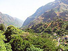 Madeira Levada-Wanderung