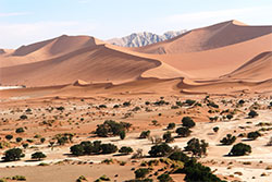 Namibia-Urlaub
