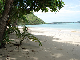 Thailand Koh Lone Beach