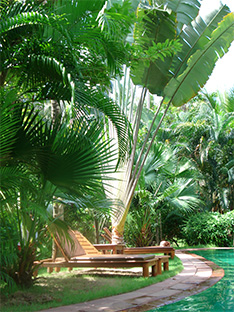 Phuket Boutique Hotel