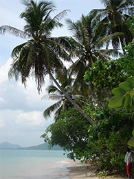 Stille Bucht von Koh Lone Thailand