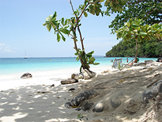 Phuket Boutique Hotel